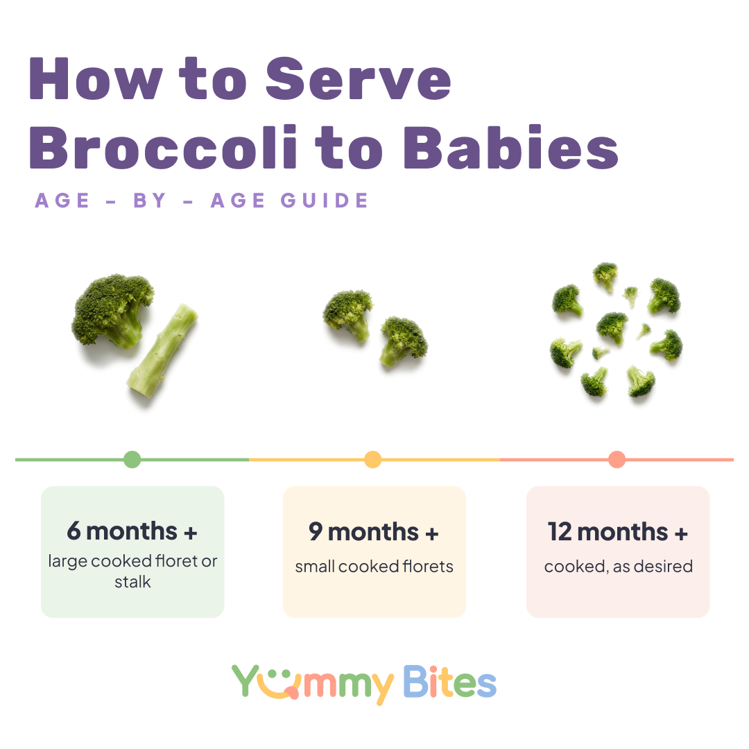 How to serve broccoli to babies